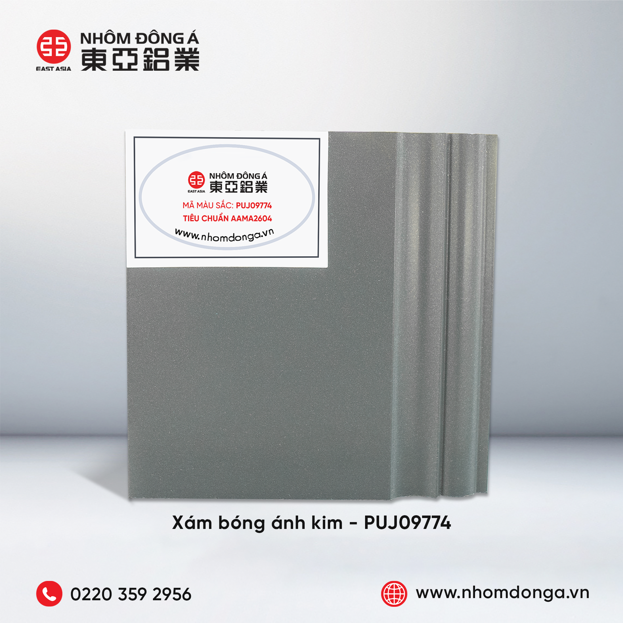 MÀU XÁM BÓNG ÁNH KIM